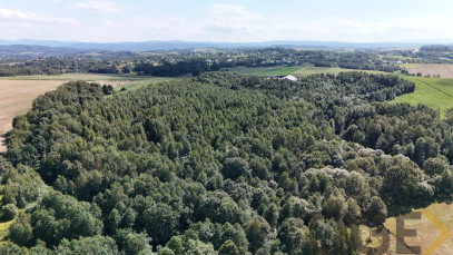 Działka Sprzedaż Skawina